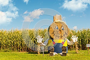 Hay Bale Figure photo