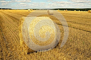 Hay bale in the foreground on a field with the same bales