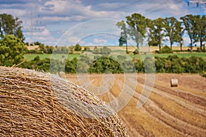 Hay bale close up in front of a field