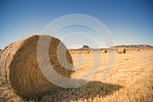 Hay bale on golden field with blue sky