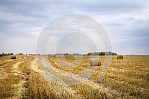 Hay bale. Haystack harvest field. ountryside natural landscape. Agriculture field haystacks in a village or farm with sky. Rural n