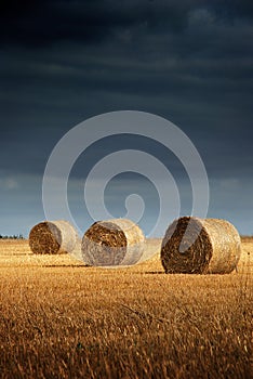 Hay Bale Landscape