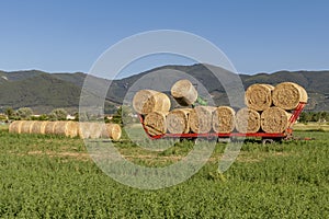 A hay bale is lifted with a tractor to be added to the others on a trailer, Bientina, Pisa, Italy