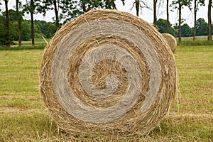 Hay bale in the meadow. The end of haymaking