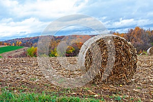 Hay Bale in a Plowed Autumn Field