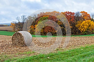 Hay Bale in a Plowed Autumn Field