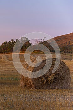 Hay Bale on the Prairies in Autumn