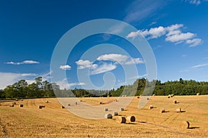 Hay Bale Scenery