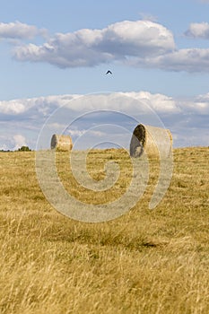 Hay Bale Scenery