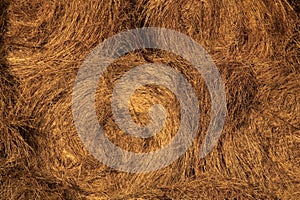 Hay bale spirals