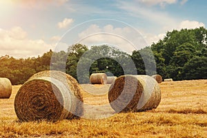 Hay bale and straw in field. English Rural landscape. Wheat yellow golden harvest in summer. Countryside natural landscape