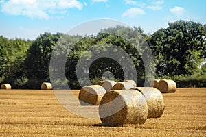 Hay bale and straw in the field. English Rural landscape. Wheat yellow golden harvest in summer. Countryside natural landscape.