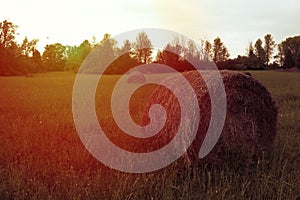 Hay Bale Sunset