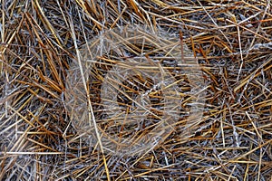 hay bale texture, dry textured straw background, golden haystack in the rural field, close up of a stem stack, mown