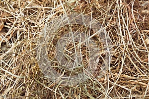 Hay bale texture, dry textured straw background, golden haystack in the rural field