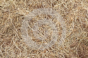 Hay bale texture, dry textured straw background, golden haystack in the rural field