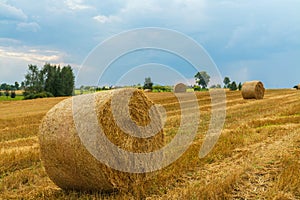 Hay bale. Wheat yellow golden harvest in summer. Beautiful landscape with lake on background.