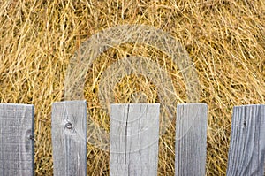 Hay bale with a wooden fence