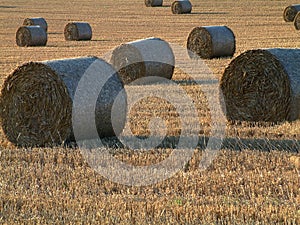 Hay bales