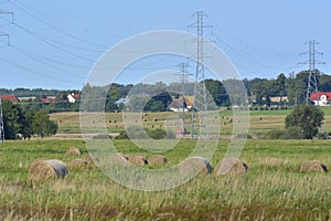 Hay in bales