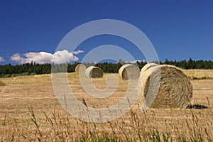 Hay Bales