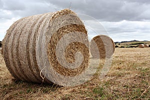 Hay Bales