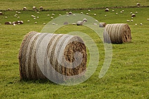 Hay Bales