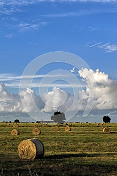 Hay bales