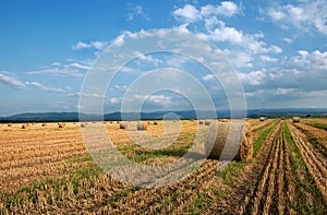 Hay bales