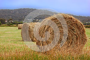 Hay bales