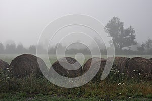 Hay bales