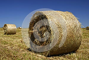 Hay Bales