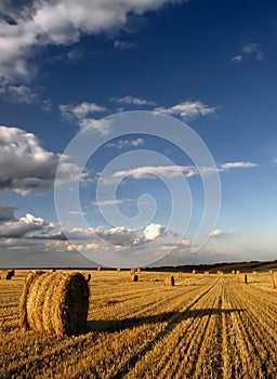 Hay Bales