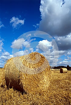 Hay Bales.