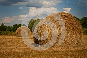 Hay bales