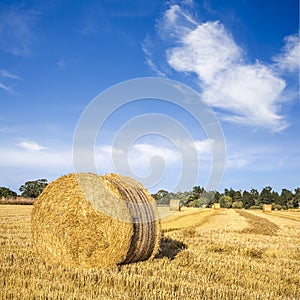 Hay Bales