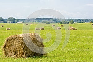 Hay bales photo