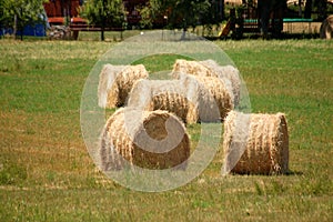 Hay bales