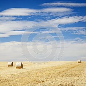 Hay Bales