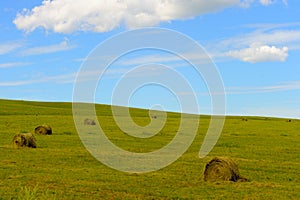 Hay bales