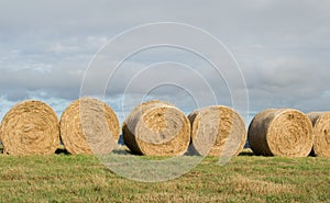 Hay Bales