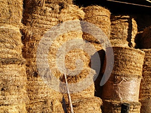 Hay bales