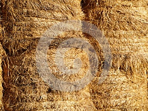 Hay bales photo