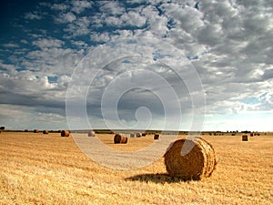 Hay Bales