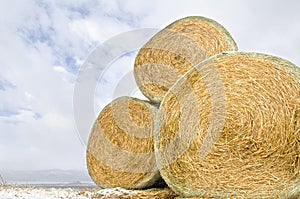 Hay bales photo