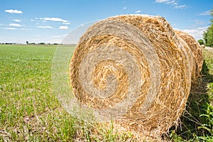 Hay bales.