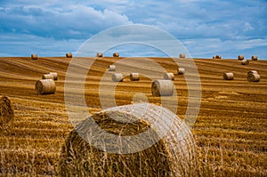 Hay Bales