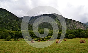 Hay bales