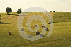 Hay bales