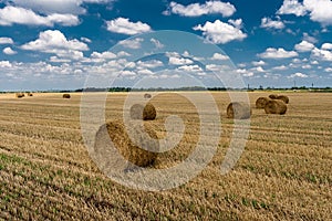 Hay bales on the agricultural field after harvest sunny summer day